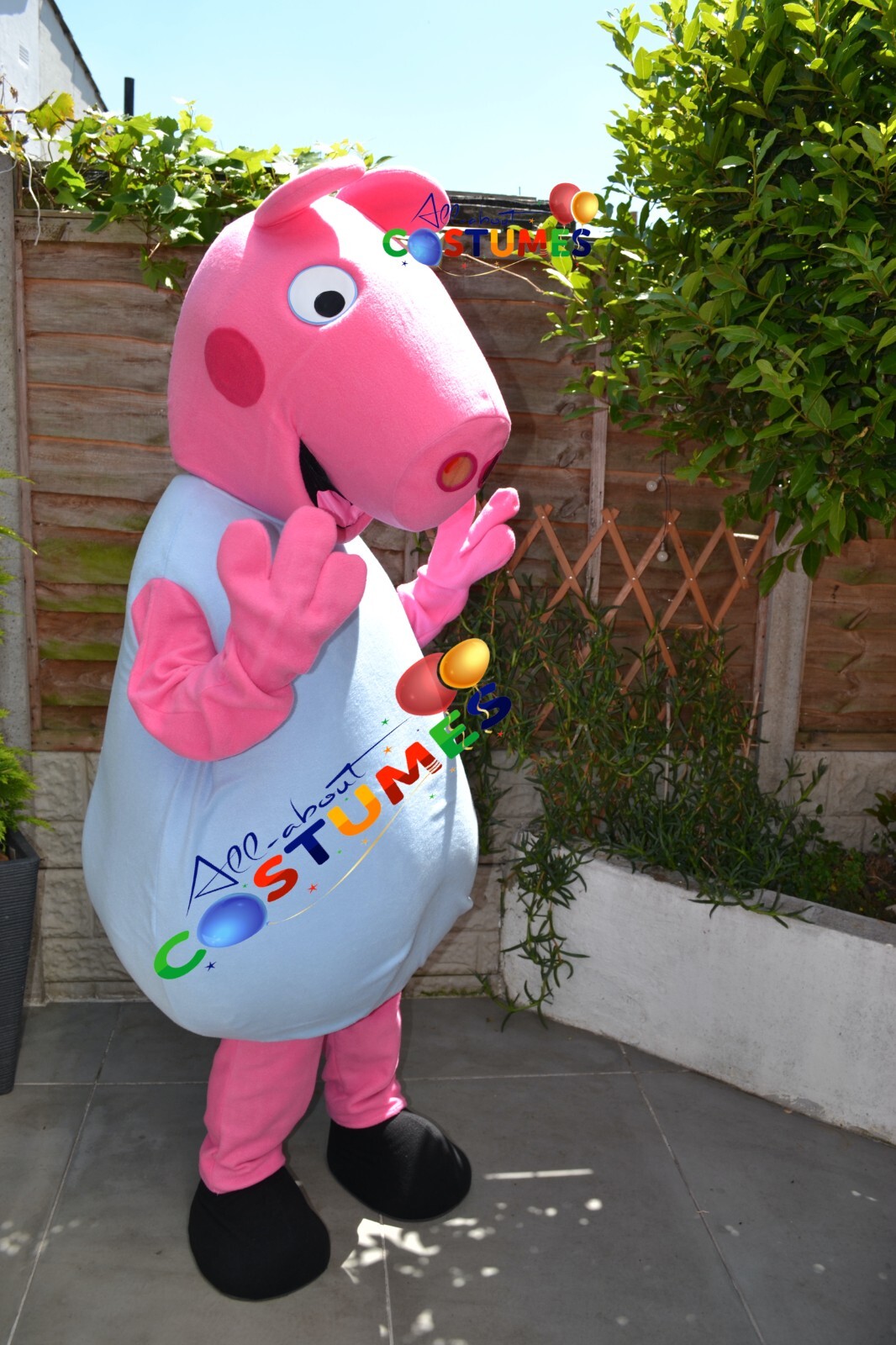 Hire Pig Boy Lookalike Costume Mascot Fancy Dress Delivery