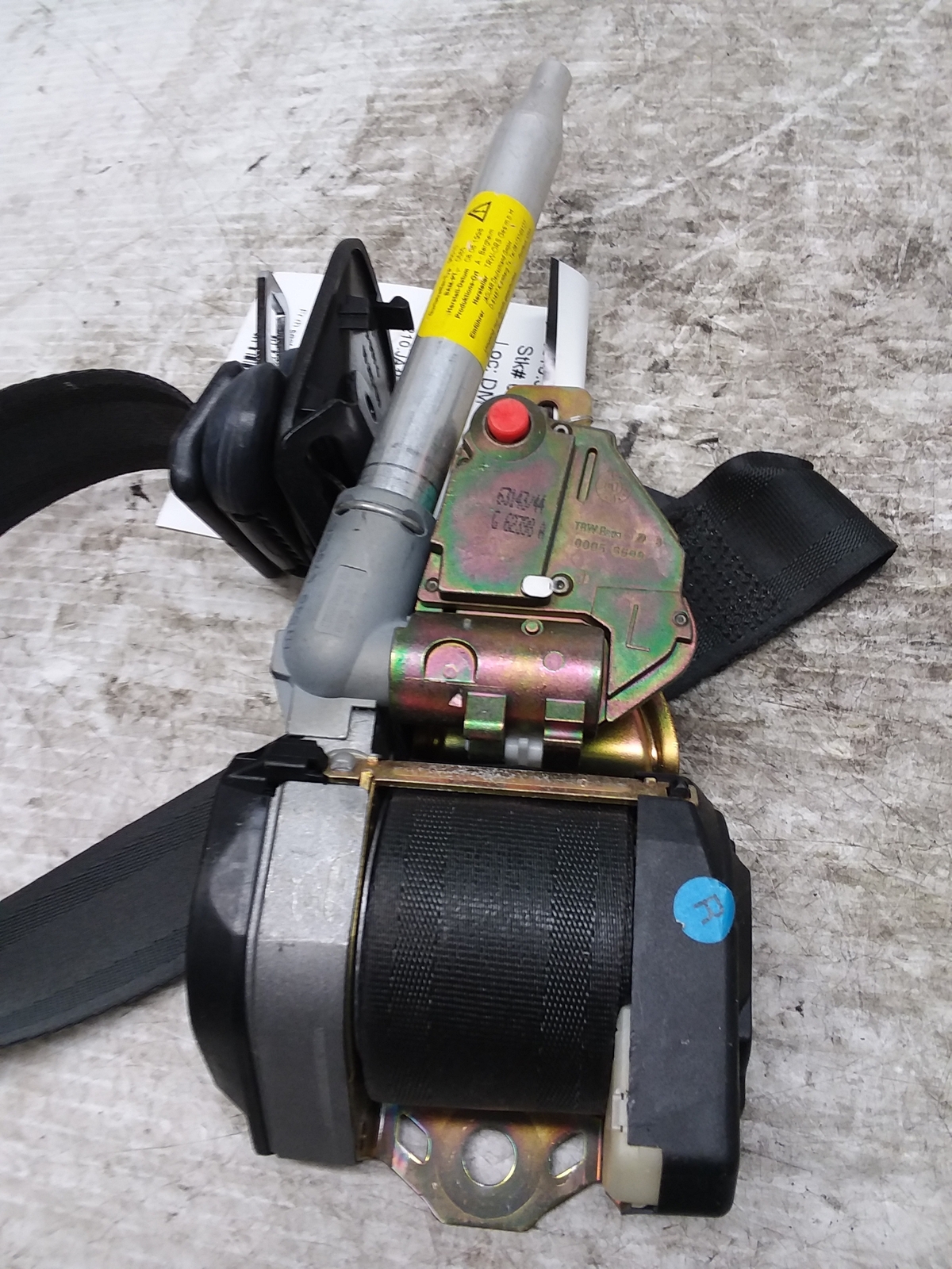 19982003 JAGUAR XK8 Seat Belt, Front RIGHT trw1743594 eBay