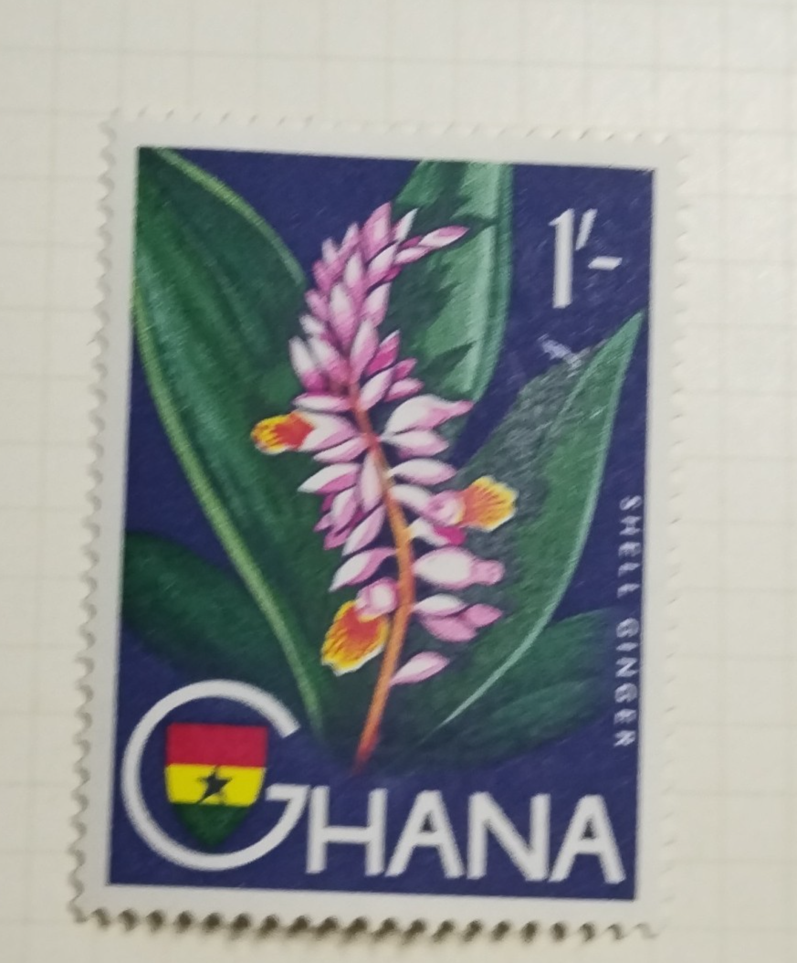 Foto 10 di 11