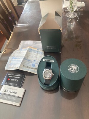 citizen promaster tough titanium