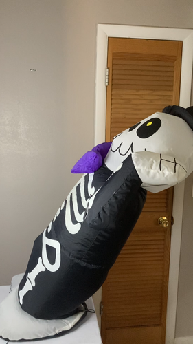 Halloween Skeleton Gemmy 4Ft Air-blown Inflatable Skeleton 2004 See Description - Video 1 of 1