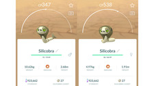  Non Shiny Silicobra (Nicht Schillernd Salang...