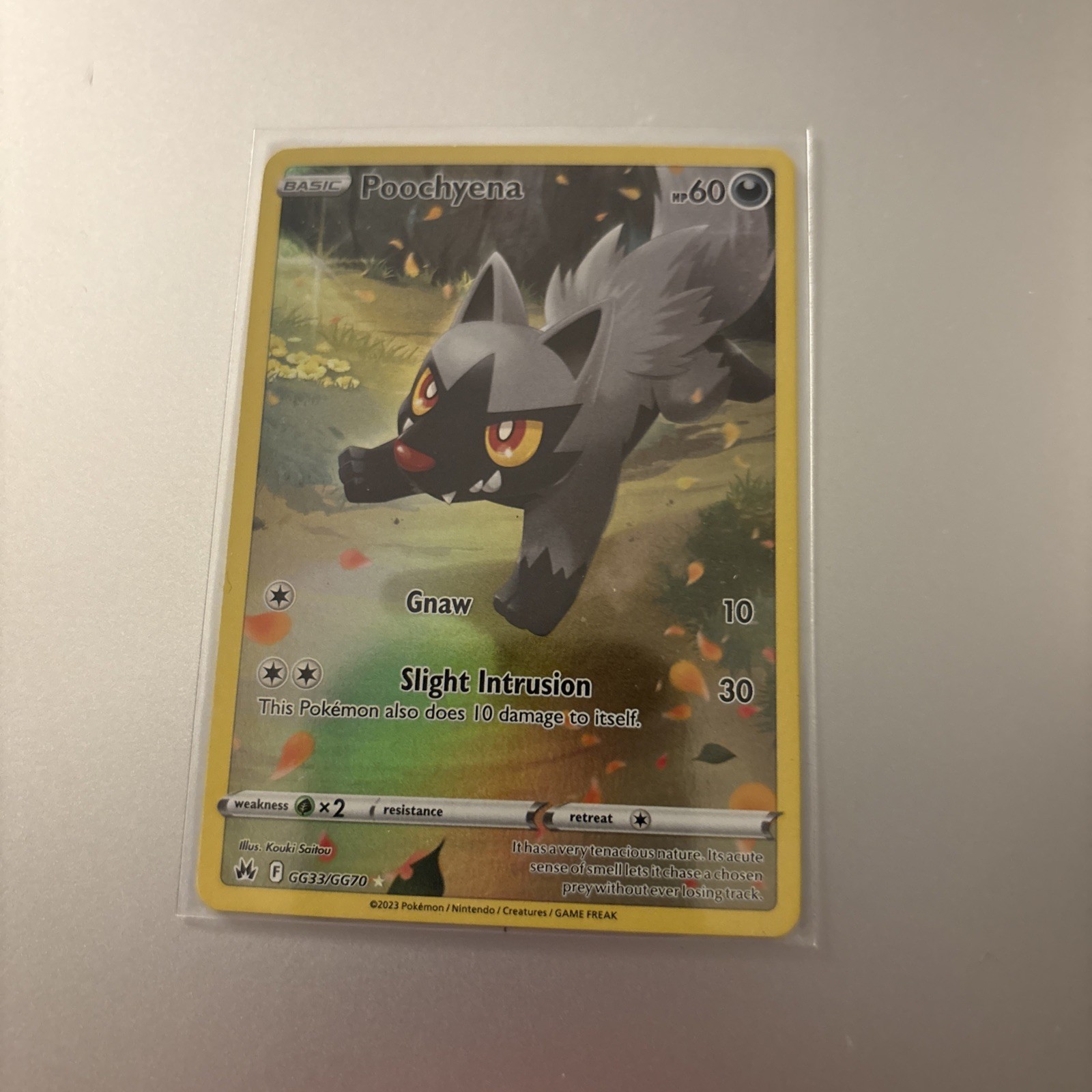 Poochyena GG33/GG70 Crown Zenith: Galarian Gallery Holo MINT CONDITION