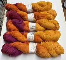 Lorna's Laces Shepherd Sock Yarn - Tom Foolery 411