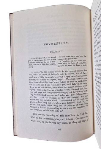 A Bible Commentary On Zechariah - Thomas V. Moore / Banner of Truth - Picture 13 of 15