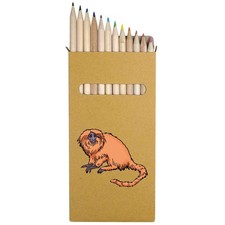 12 x 'Golden Lion Tamarin' Long 178mm Coloured Pencils / Pencil Set (PE00083899)