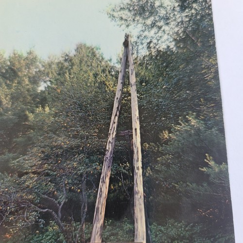 Vintage 1958 Postcard Log Jammer at Hartwick Pines State Park Grayling Michigan - Picture 3 of 13