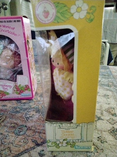 1982 Strawberry Shortcake's friend Butter Cookie with Jelly Bear Box - Picture 2 of 12
