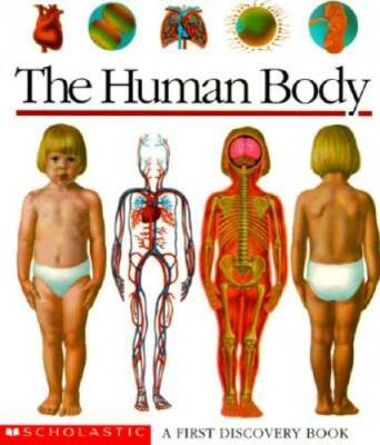 The Human Body: A First Discovery Book - Spiral-bound - ACCEPTABLE
