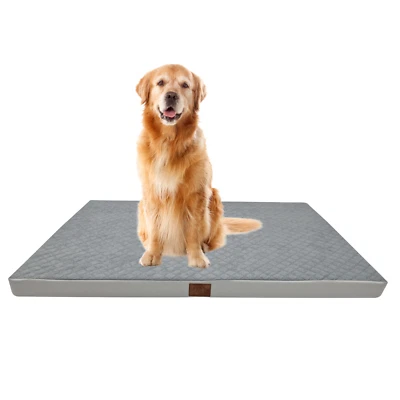 ODOLPLUSZ Hundebett Hundekissen Orthopädische Hundesofa Katzenbett 120x80x7cm Grau