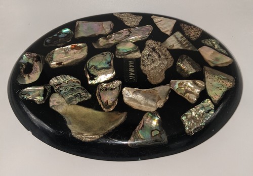 Hawaiian Lucite Trivet Abalone Iridescent Shells Oval Footed Hot Plate 8x5.5" - Picture 2 of 13