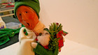BYERS' Choice LTD CAROLERS 2006 GRANDPARENT SHOPPER — photo 3
