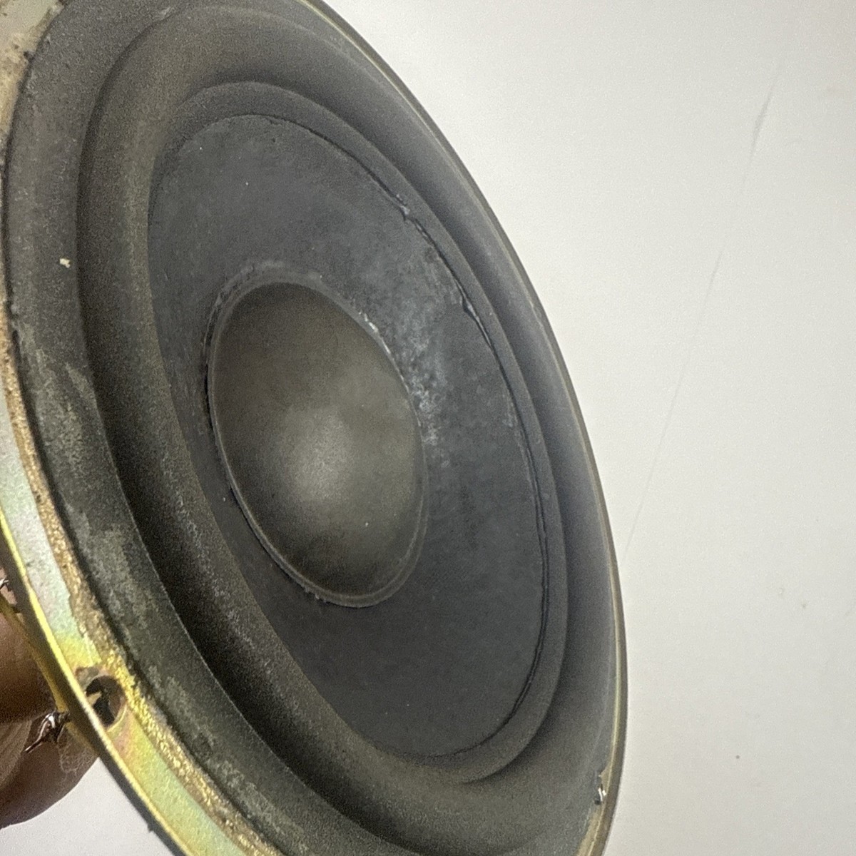 Woofer 8