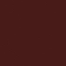 GM Garnet Red Leather Dye