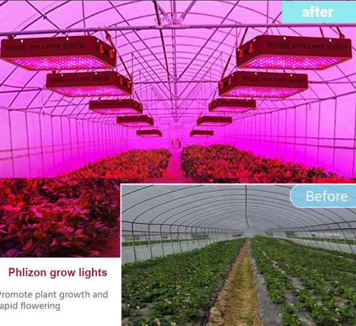Phlizon 600W Double Switch Led Grow Light Full Spectrum for Indoor Plants Flower - Bild 12 von 12