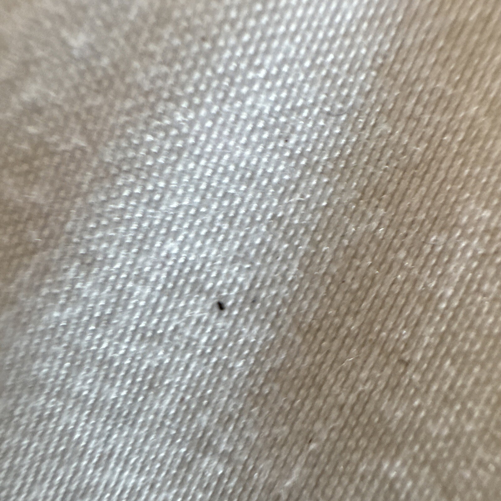 Picture 6 of 6