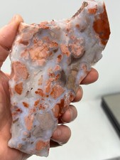 Cotton Candy Agate Slab Cabbing Lapidary Collecting Combo Ship Avail
