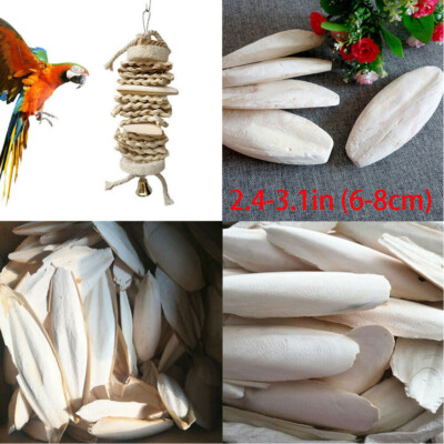 10/20Pc 2.4-3.1'' Cuttlebone for Birds Parrot Chewing Cuttle Bone For Sharp Beaks