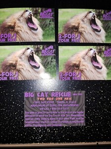 5 Big Cat Rescue 2 For One Day Passes, Tiger King