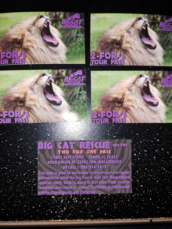5 Big Cat Rescue 2 For One Day Passes, Tiger King