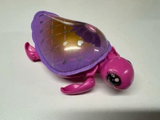 Little Live Pets Turtle Pink w/ Purple Shell Walks & Swims