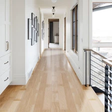 2'x20' Vinyl Runner Rug for Hallway, Clear Waterproof Kitchen Mat for Floor, ...