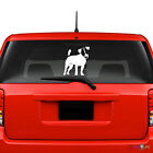 Jack Russell Terrier Windshield Sticker Vinyl Auto Window jrt parson