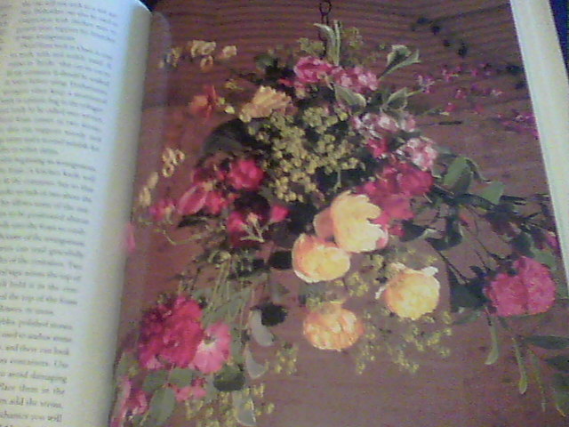 Picture 7 of 8