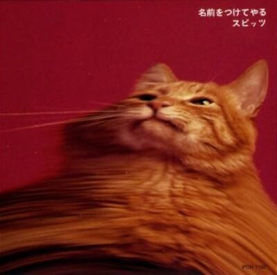 スピッツ　spitz　CD Spitz - Spitz - Amazon.com Music