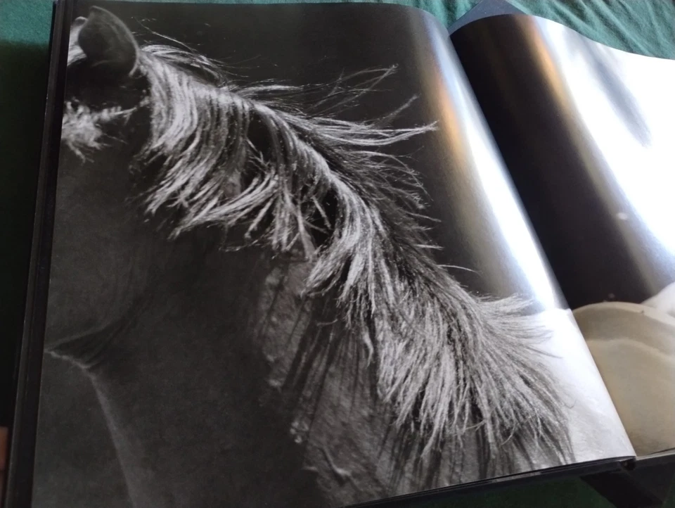American Thoroughbred HORSE Lover Photography B&W images HORSES BOOK Equestrian  - Imagem 4 de 4