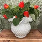 Gorgeous Vintage Fenton Hobnail Milk Glass Double Ruffled Crimped Vase