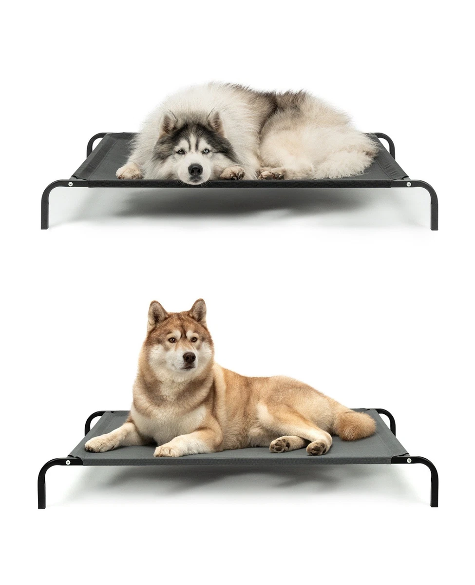 kartoffel hundefutter Dogspot