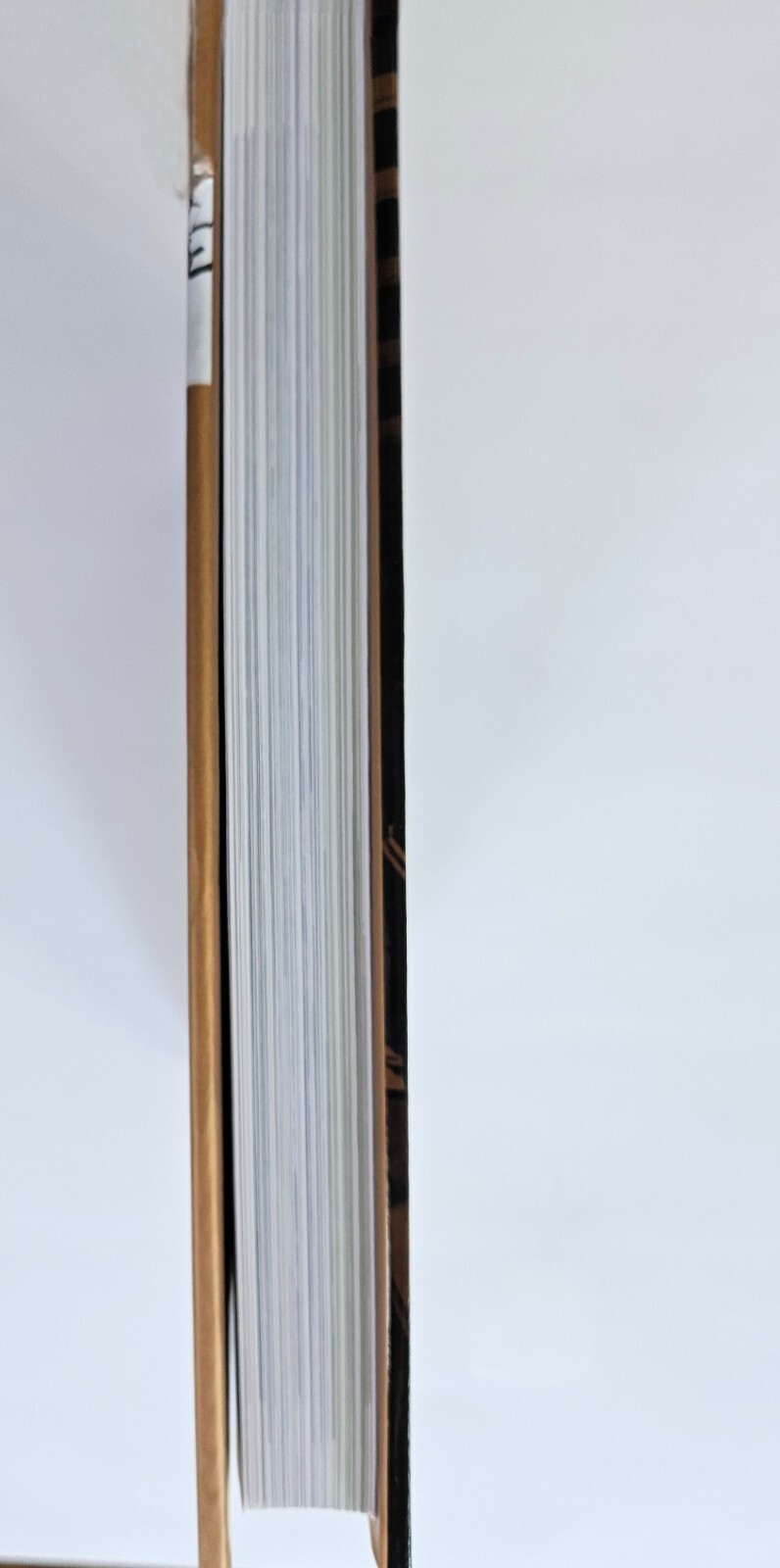 Picture 4 of 6
