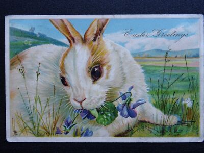 Ostergrüße WEISSER HASE um 1907 geprägte Postkarte von Raphael Tuck 1229