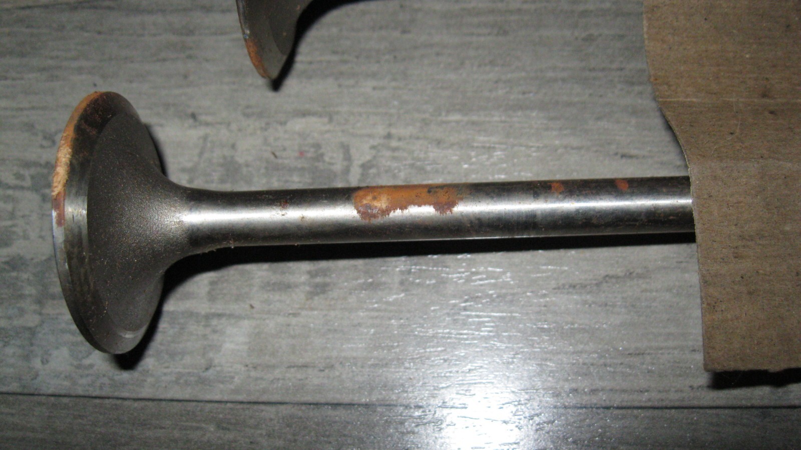Picture 7 of 7