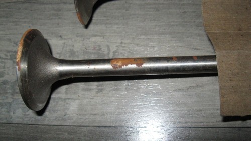 NOS 839504 Chevrolet GM Intake Valves - Picture 7 of 7
