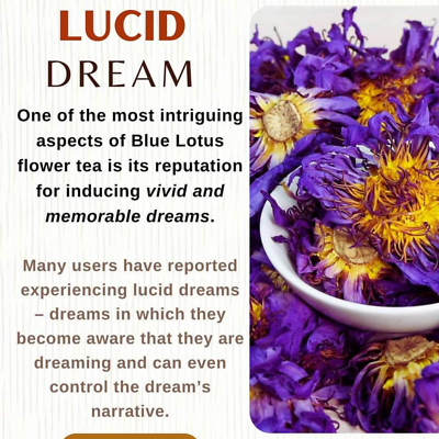 バレエ typeW grateful/checked flower smoke blue Dried Egyptian Blue Lotus Flowers Organic Nymphaea Caerulea