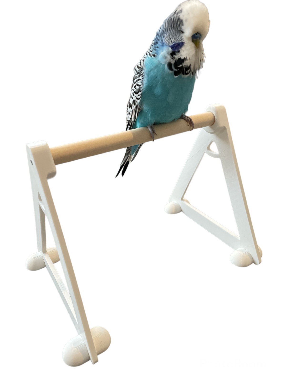 Bird Perch Floor Stand With Toy Hooks, Budgies, Love Birds, Parrots, Cockatiels