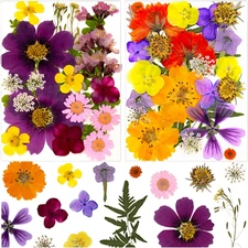 46Pcs Pressed Dried Flowers Real Natural Leave for DIY Resin Molds Candle Jewelr