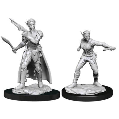 Highly Collectible D&D Nolzur's Marvelous Unpainted Minis Shifter Rogue Female