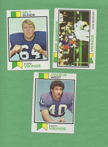 1973 Topps Football MINNESOTA VIKINGS Complete Team Set - 21 CARDS - Picture 4 of 4