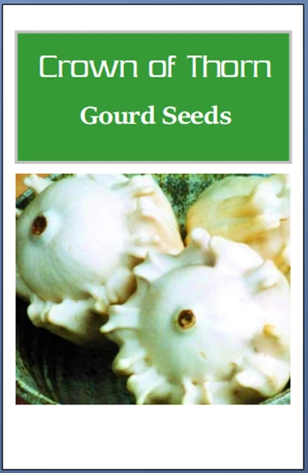 Semillas de calabaza | Semillas de calabaza de herencia | Shenol Crown of Thorns | Semillas no transgénicas Foto 2 de 2