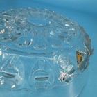 Picture 6 of 8