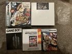 Shaman King: Master of Spirits (Nintendo Game Boy Advance, 2004)