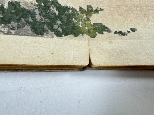 Japanese Woodblock Print Book “Yofu-gacho” vol.2 Famous places in Kyoto 1898 - Picture 6 of 21