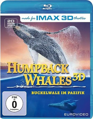 Humpback Whales - Buckelwale im Pazifik [3D]