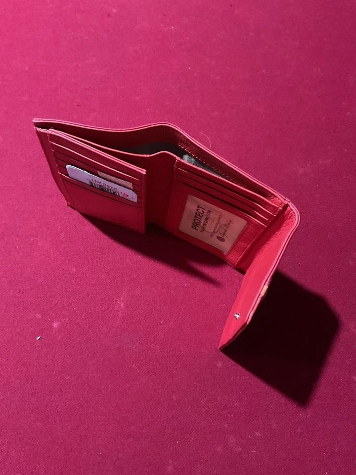 Cartera de cuero a presión Osgoode Marley para mujer con múltiples rayas RFID 5" NUEVA CON ETIQUETAS $55 ($95) Foto 3 de 4