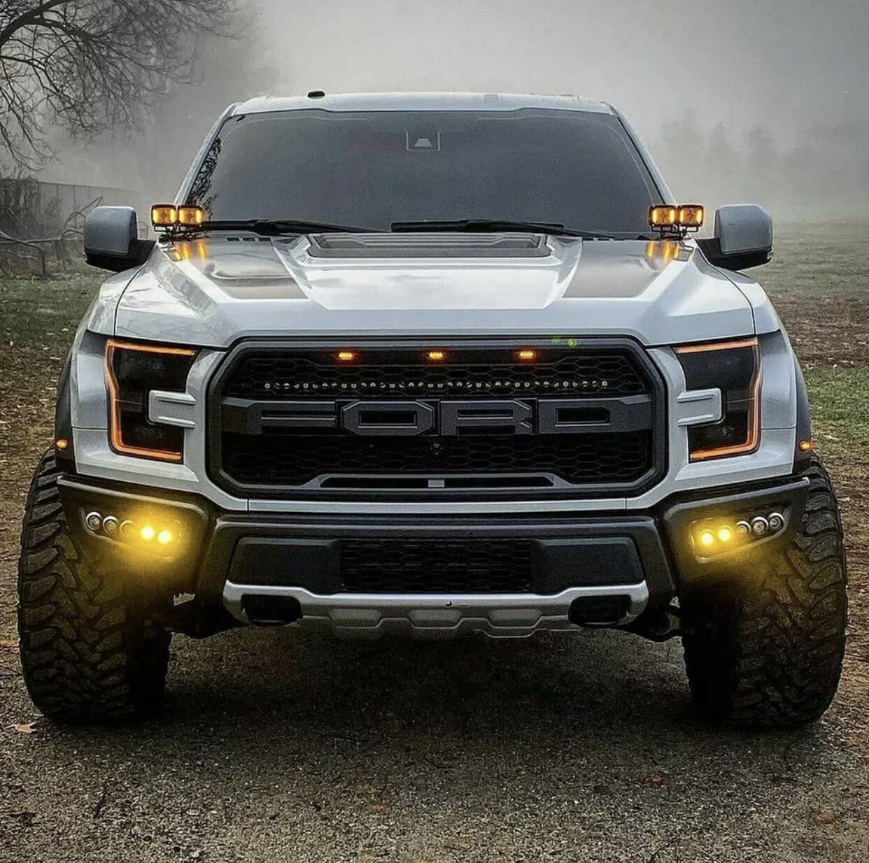 Hood Vinyl Decals graphics stripe - Ford Raptor  F-150