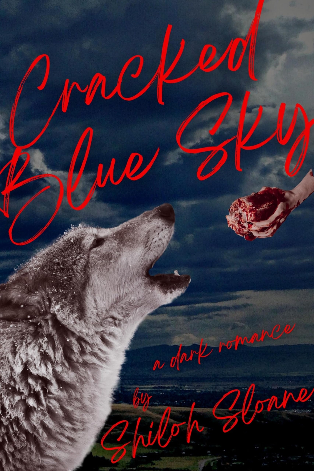Shiloh Sloane Cracked Blue Sky (Tascabile) Lindals