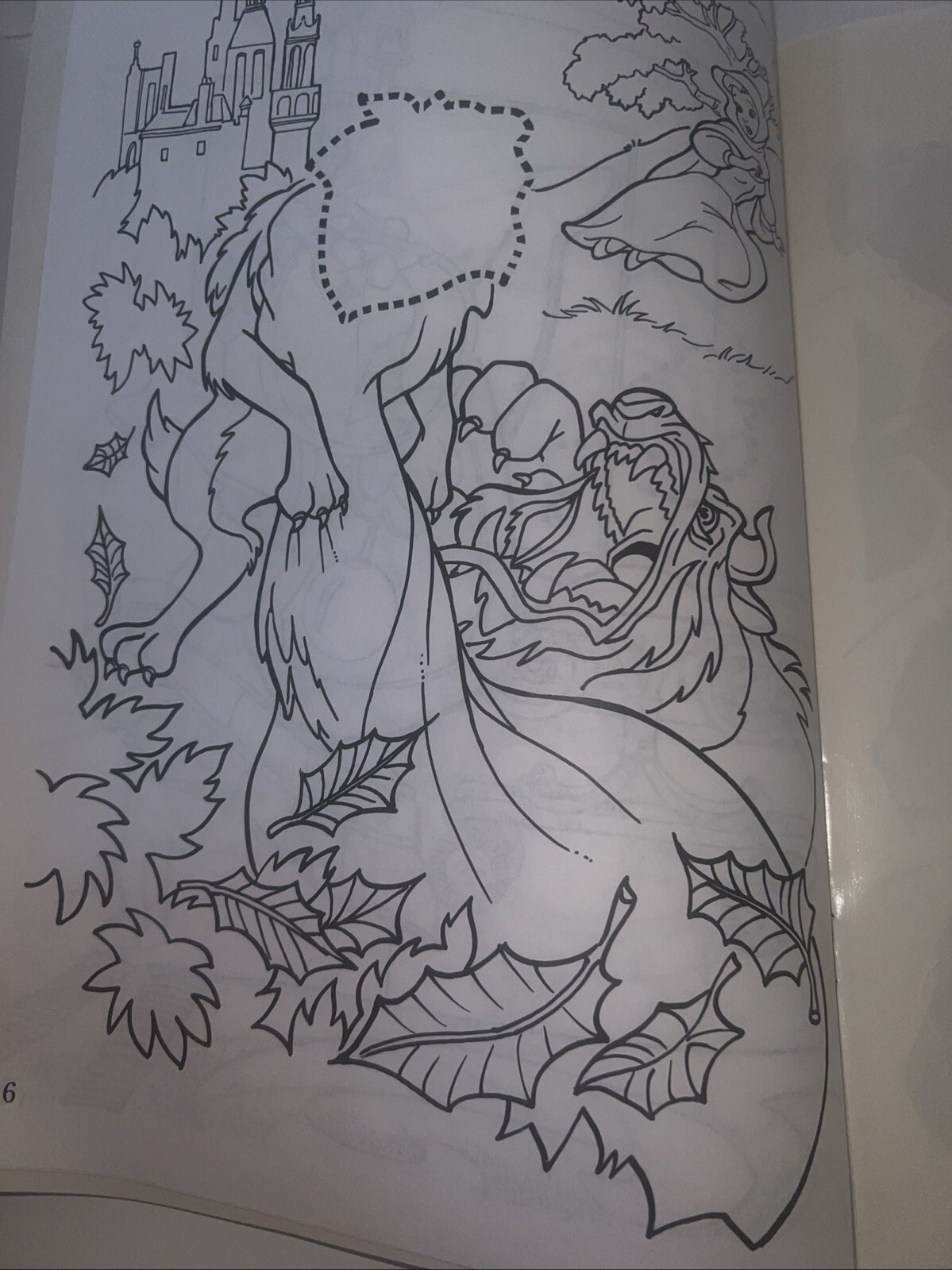 Picture 5 of 12